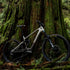 Introducing the 2024 Norco Fluid VLT: Redefining Lightweight e-MTB Performance