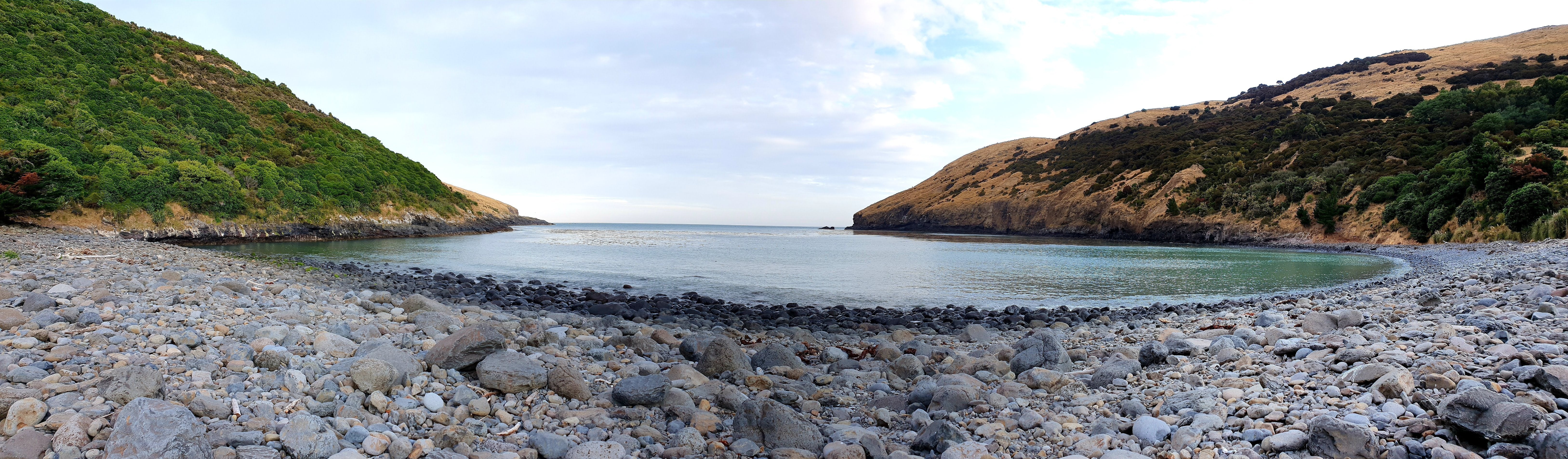 Banks Track Walk - Banks Peninsula