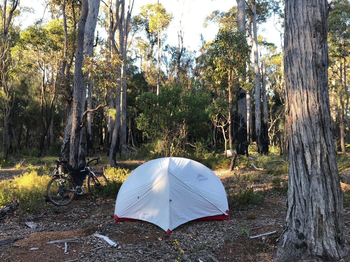 best bike for 60 year old