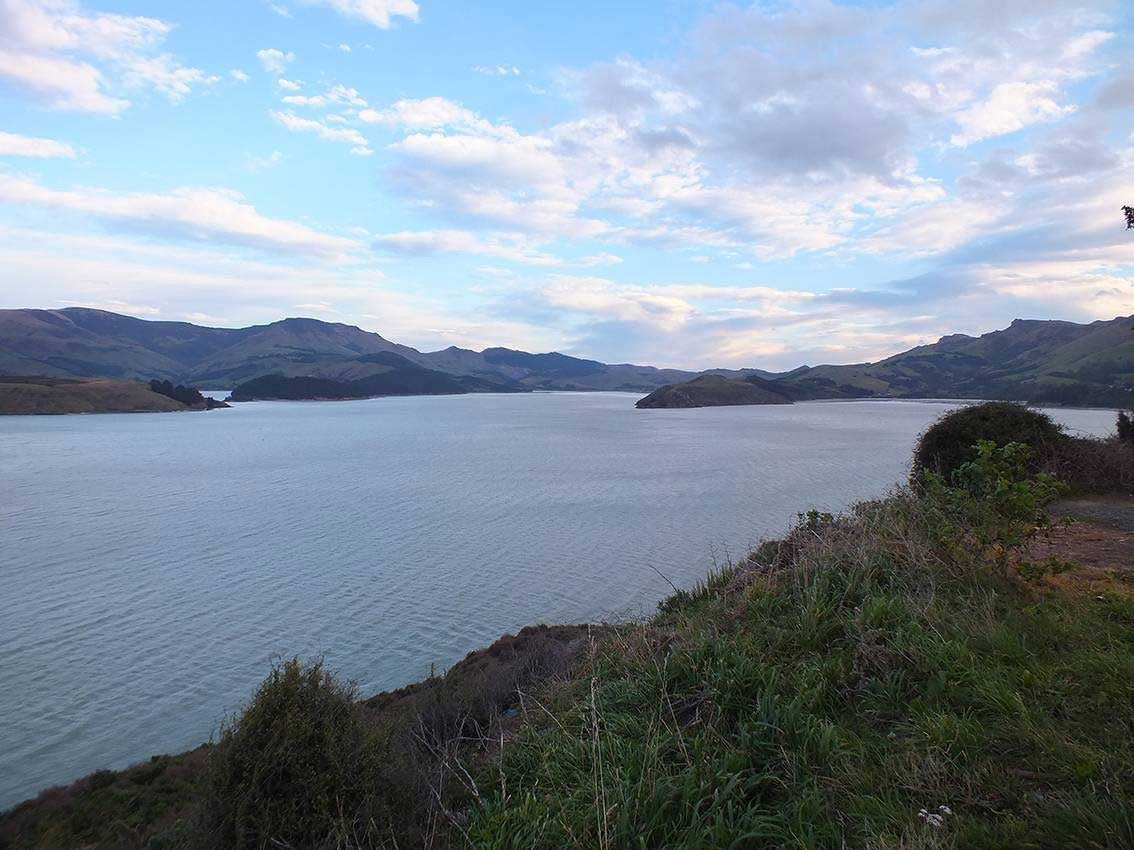 Get prepared for the Bays Cycle Challenge with a free training plan