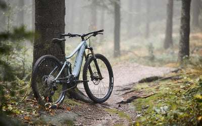 Taupo’s Best Mountain Bike Trails