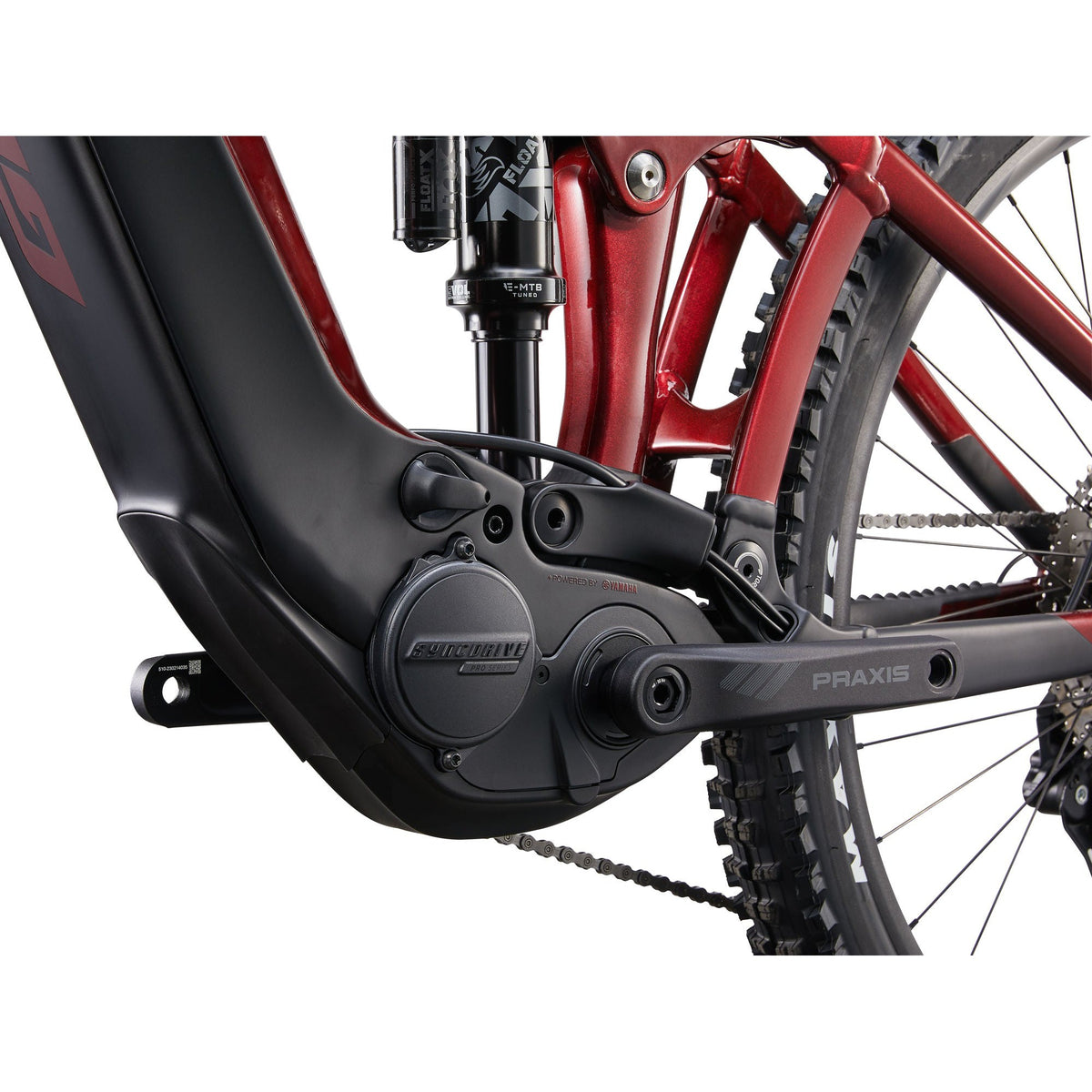 Giant 2024 Reign E+ Electric Mountain Bike– Pushbikes