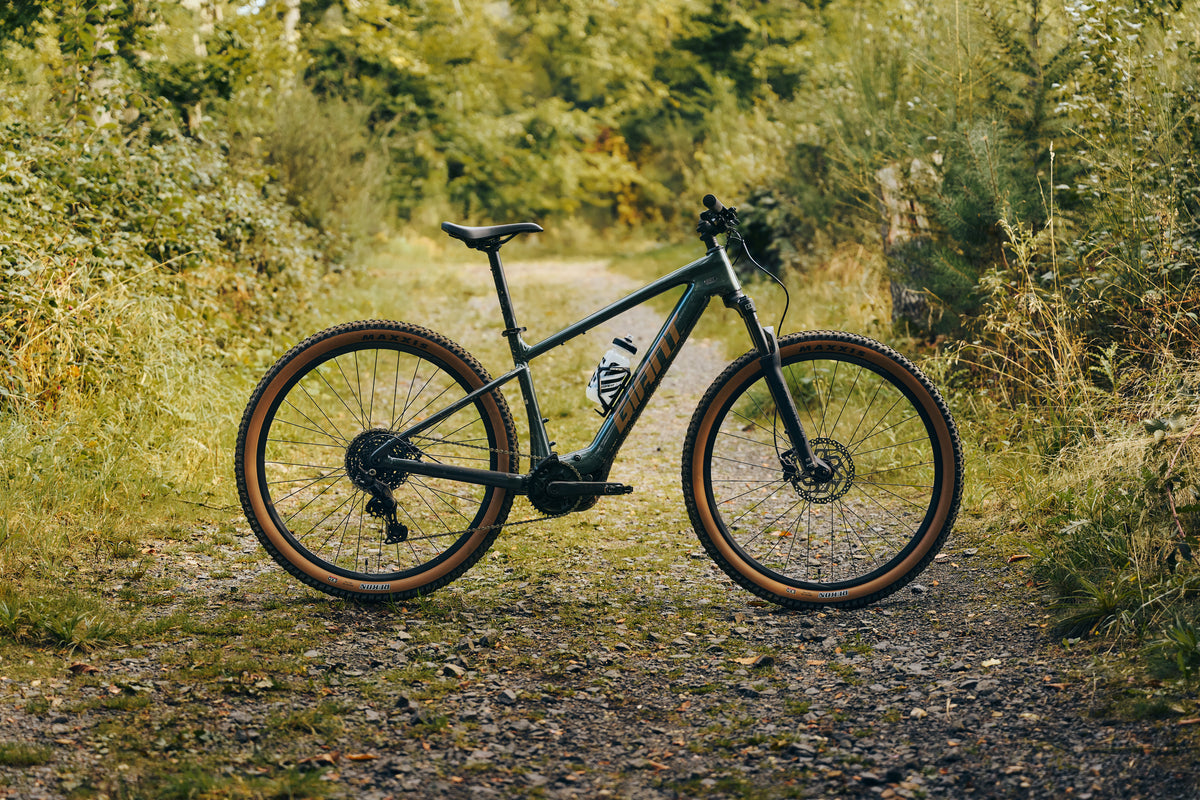 2026 Giant & LIV Talon / Tempt E+ Range | Buyer Guide NZ