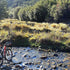 Wharfedale Mountain Bike Track