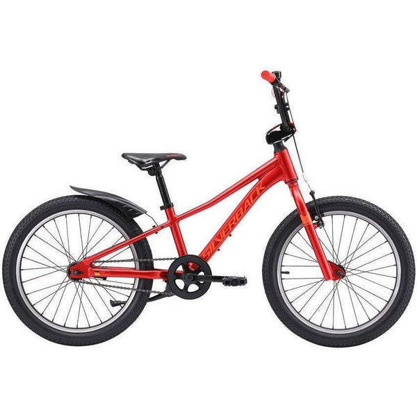 Silverback-2025-Skid-20in-Kids
