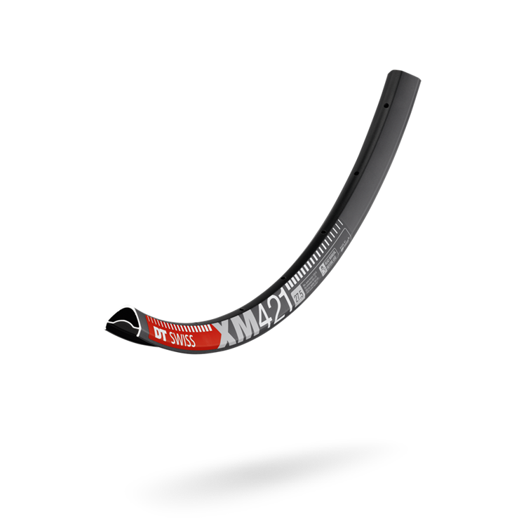 DT Swiss XM 421 MTB Rim– Pushbikes