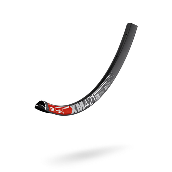 DT Swiss XM 421 MTB Rim– Pushbikes